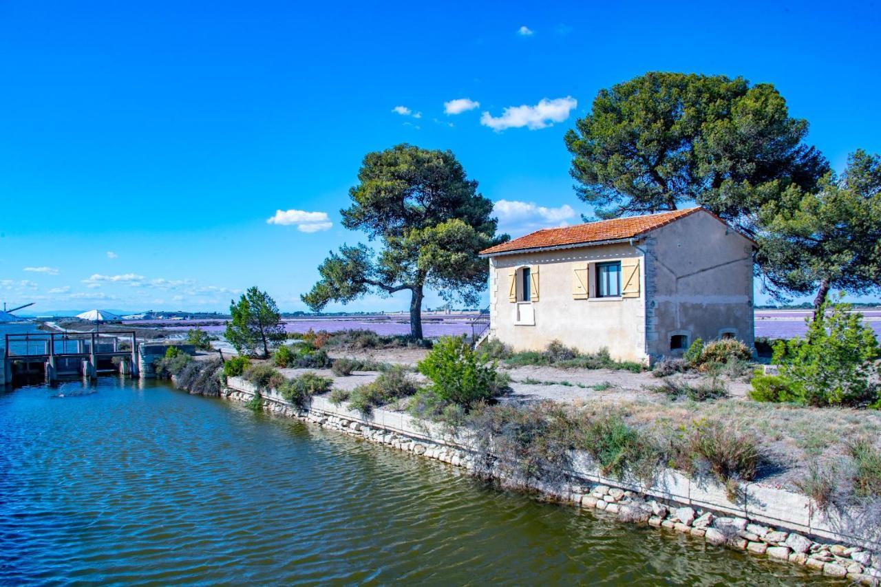 Villa Mas De Colomina Aigues-Mortes Exterior foto